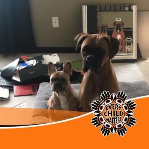 Meet your Posher, Laurie